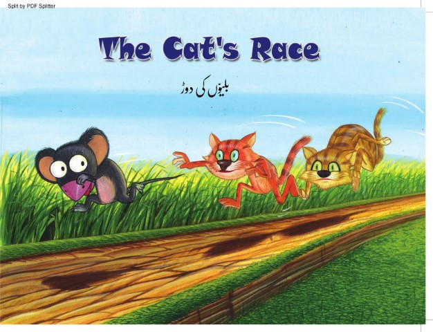 The Cat's Race